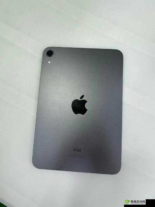 秘密入口 MINI6 安全保护：保障你的私人空间