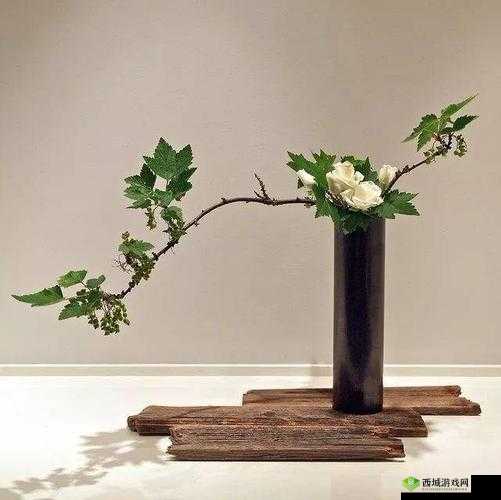 插花弄玉:一段充满诗意与技艺的唯美故事