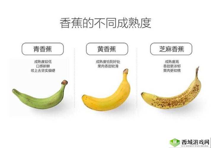 国产香蕉和进口香蕉价格大揭秘