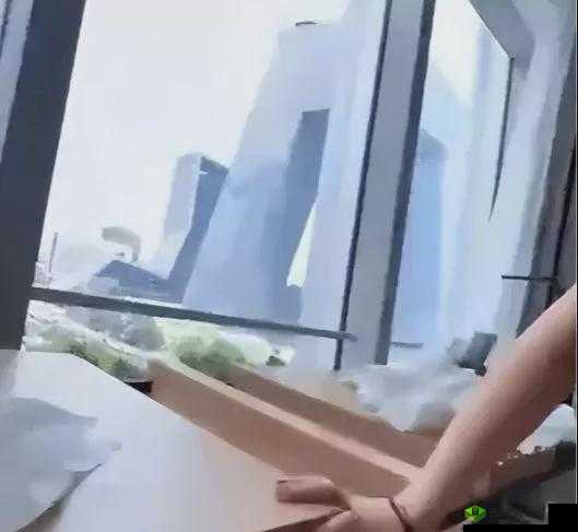 张律渝与吕总落地窗的浪漫故事