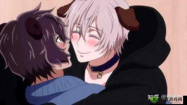 车速超高双男主的热血冒险之旅