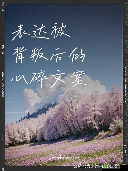 男二被主角爆炒：心碎背叛还是另有隐情？