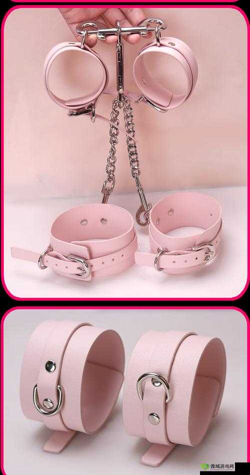 金牌惩戒师 SP 实验教程详细解析