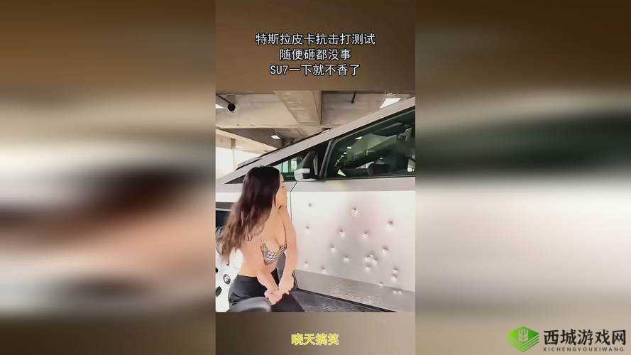 猫咪 MV 最新地域网名怎么取:创意与灵感