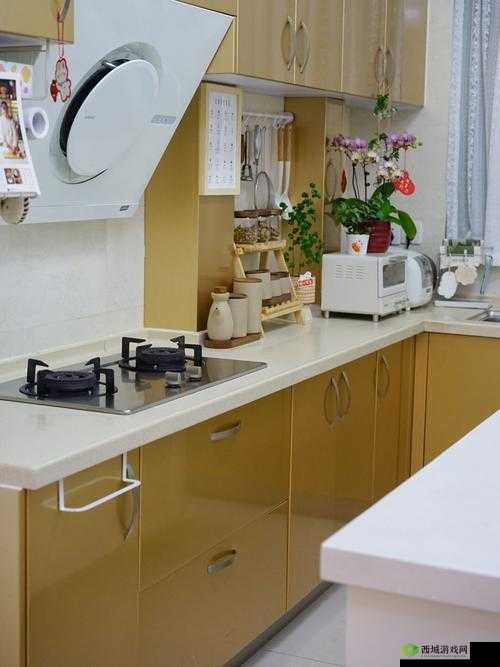 厨房一路干到卧室最简单处理方法:实用技巧分享