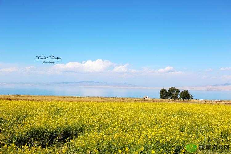 大手向下游走来到芳草地：探寻未知之旅