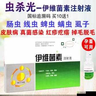 ZOOMSERVO 兽狗剧情解析之深度剖析