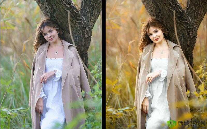 免费 PS 大片段视频调色:调出你的视觉盛宴