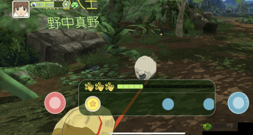 小森生活中圆角羊具体分布位置全揭秘