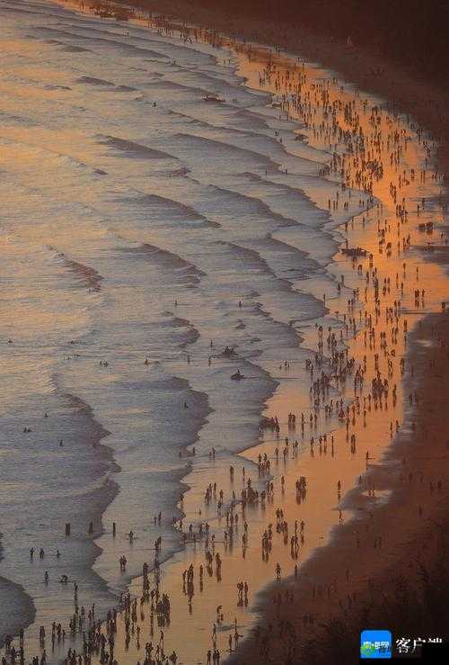 哔哩哔哩情侣高峰期热度攀升