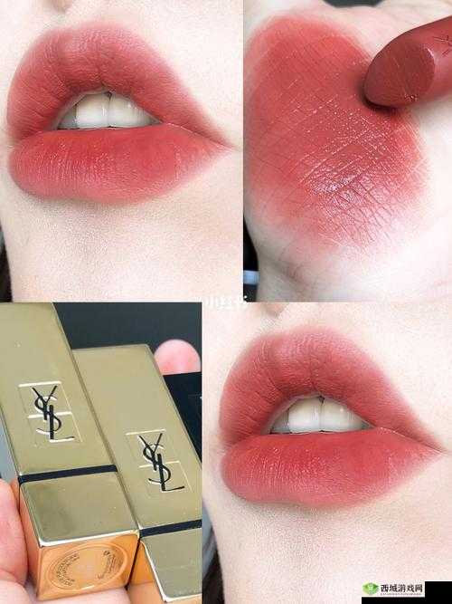 Ysl 蜜桃棕调色：时尚魅力新诠释