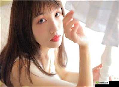 双龙进洞夹心饼干：美味难以抗拒