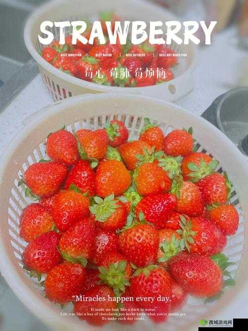 将草莓放到小洞里榨汁可以吗：探讨其可行性