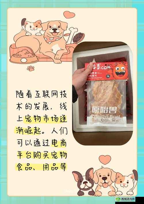 ZOOMSERVO 兽狗产品：高性能、高品质、高智能