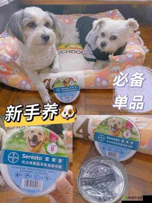 人狗胶配方大全狗狗一：探索独特配方秘籍