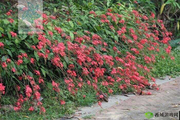 一杆大枪草一家三娘的别样人生