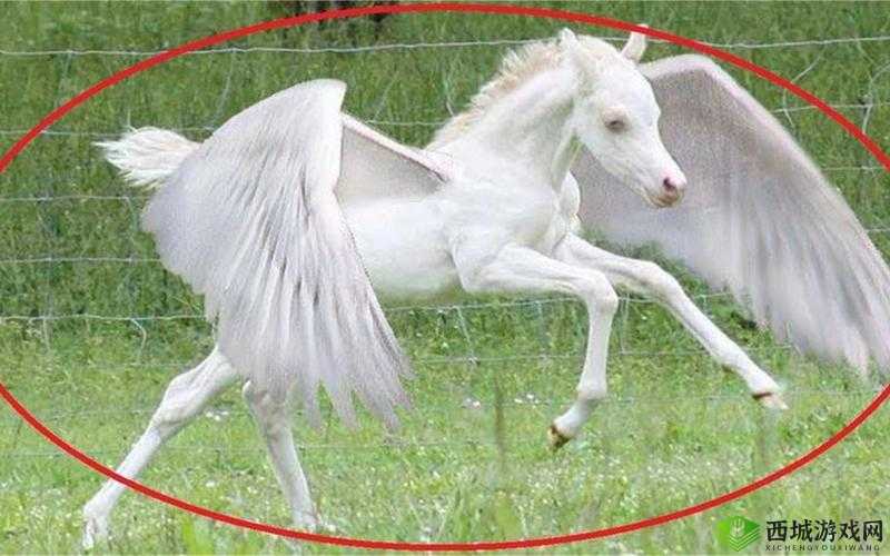 PYTHON 人马兽:传说中的神秘生物