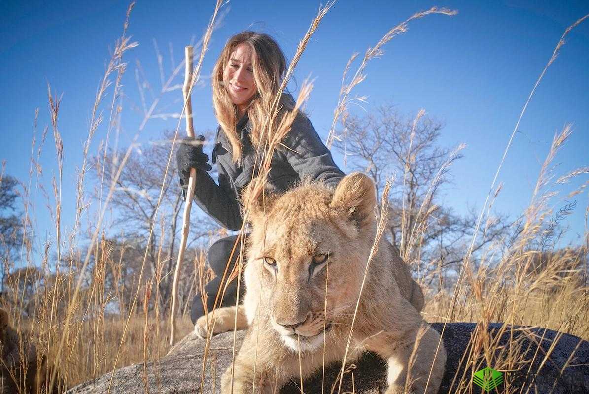 麻花 XK8049：一场颠覆想象的冒险之旅