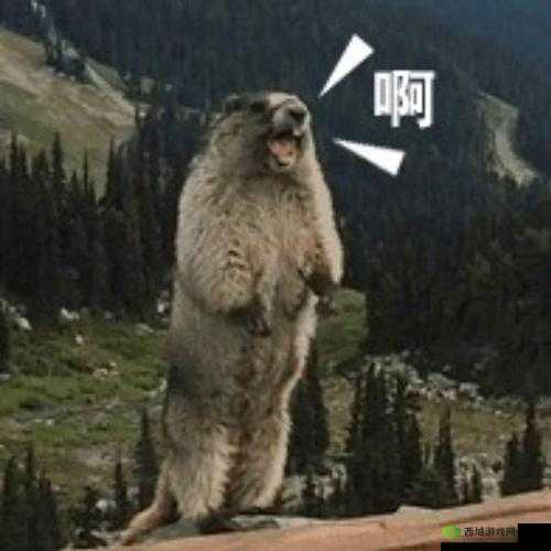 哈啊身体怎么变得越来越奇怪了:原因何在