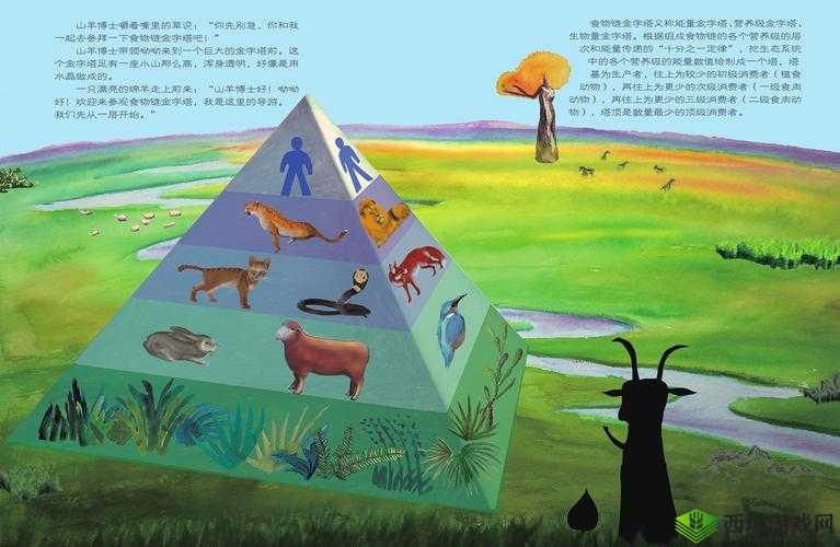 洗手间截了一段小视频食物链:揭秘其背后的故事