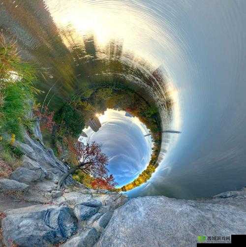 看了就会立的图片:令人惊叹的视觉呈现