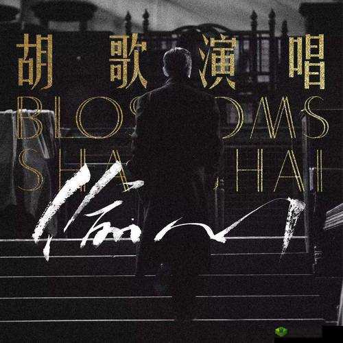 如何在各种平台上畅享欧美 MV、日韩 MV、国产站：实用技巧分享