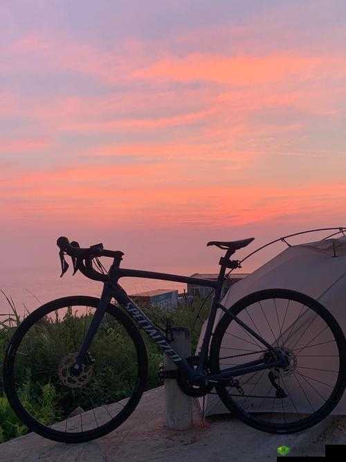 一前一后三个人，骑行之旅乐无边