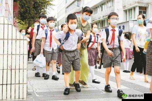 扦插 BB 有什么好处：全面解析