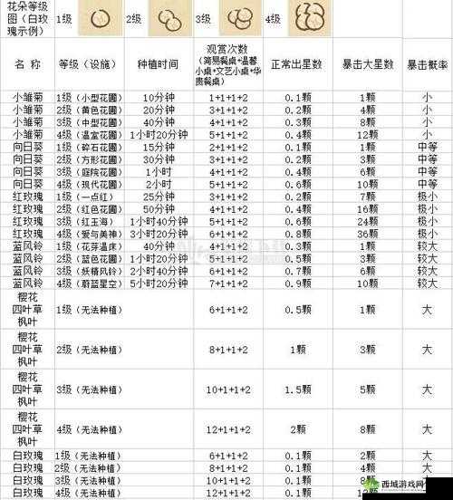 动物餐厅花朵星星获取攻略 详细快速获取方法大揭秘