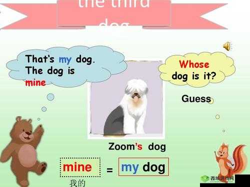 ZOOMDOG2021 之相关介绍