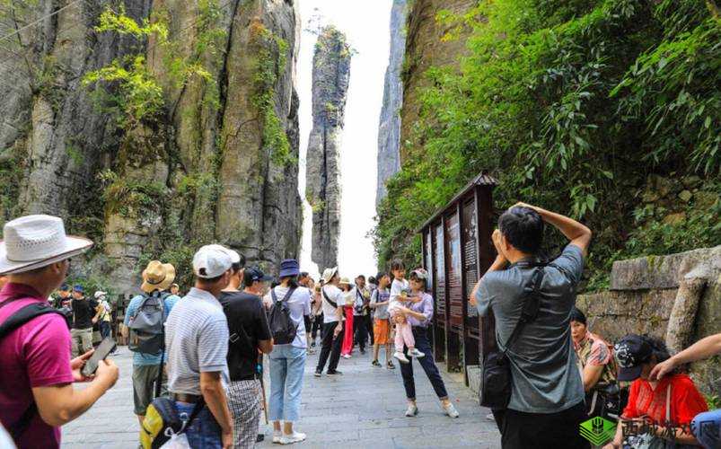 命运神界结社的作用究竟何在 全面实用攻略大分享