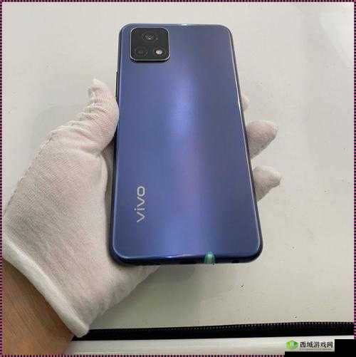 成色好的 Y31S 标准版:时尚实用的超值之选