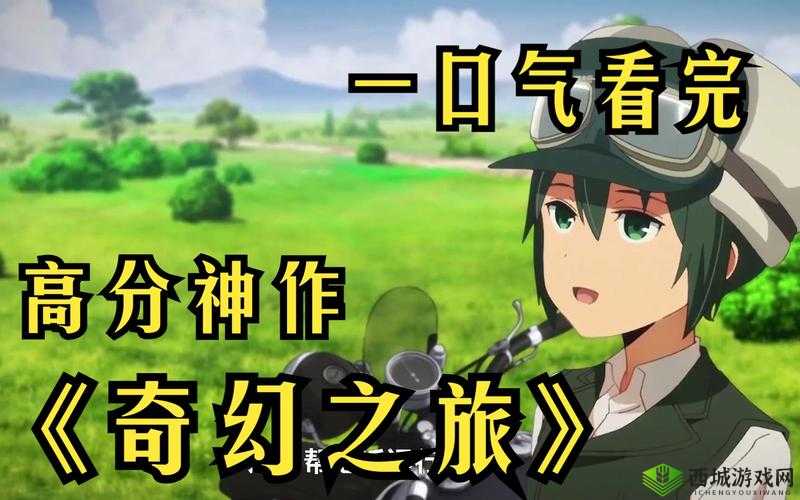 WWW 你会感谢我的:探索未知的奇妙之旅