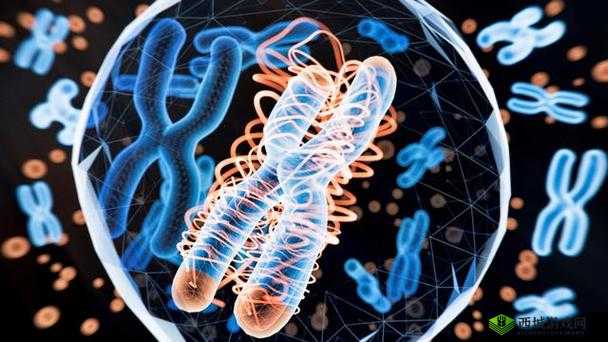 把自己自 W 到高 C：一场私密的探索之旅