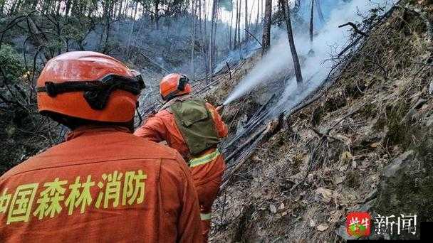 五个消防员绝境 1V5：浴火之战