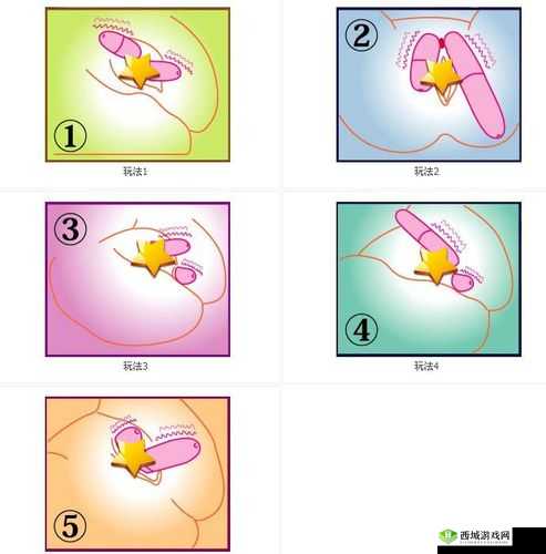 双跳dan怎么用放在哪:详细使用指南与放置技巧