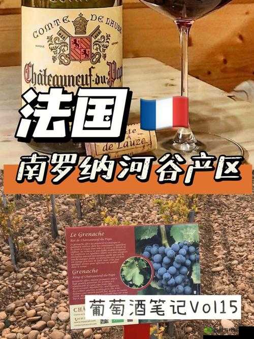 欧美精品一产区二产区:特色产品介绍