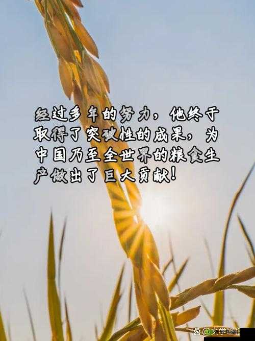 桂花婶是九曲十八弯:乡村传奇人物的故事