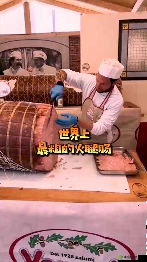 用大的火腿肠给自己用可以吗:探讨其可行性