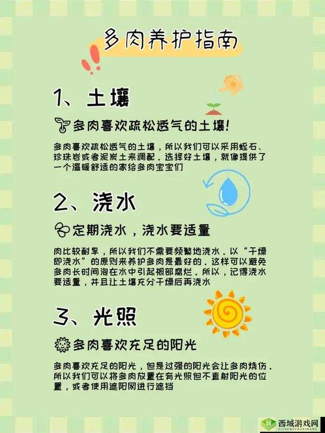 皇家共享小公主多肉怎么养:实用养护指南