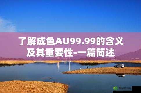 成色 AU999.9 已修复卡顿问题:性能更优