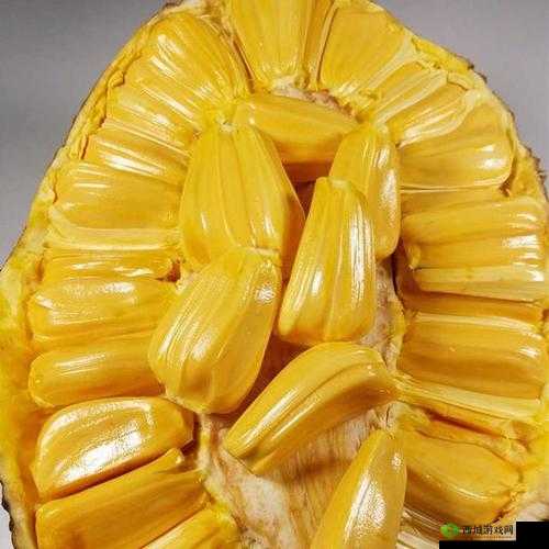 亚精产品一三三菠萝蜜的独特魅力