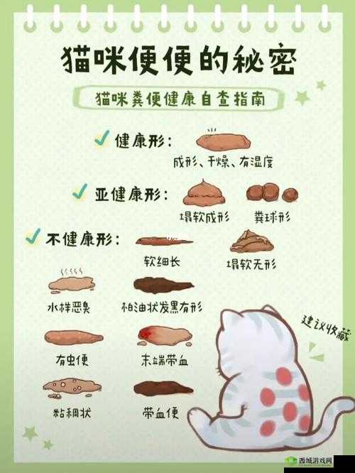 软起不来原因探究：为何会软起不来