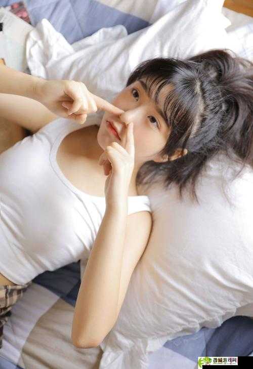 精产国品一二三产区 9977:探秘优质产品的来源