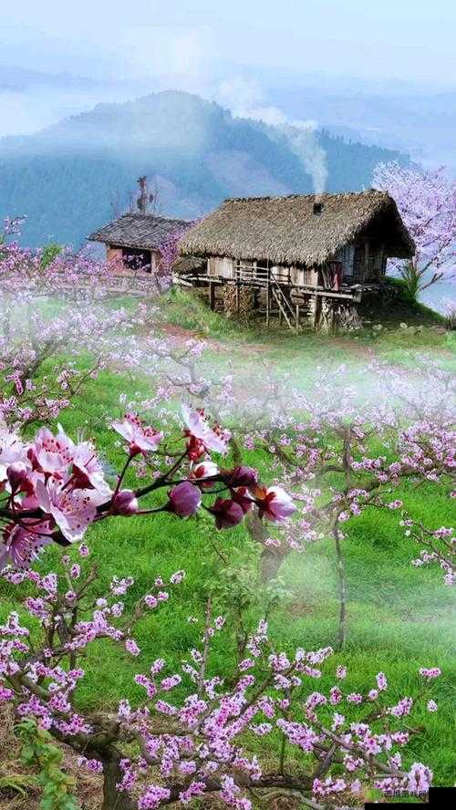 桃花源洞口:芳草萋萋景致美