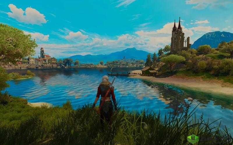 巫师三陶森特监狱进入方法