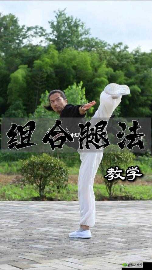 镜流ちゃんが腿法的历史起源:其发展历程