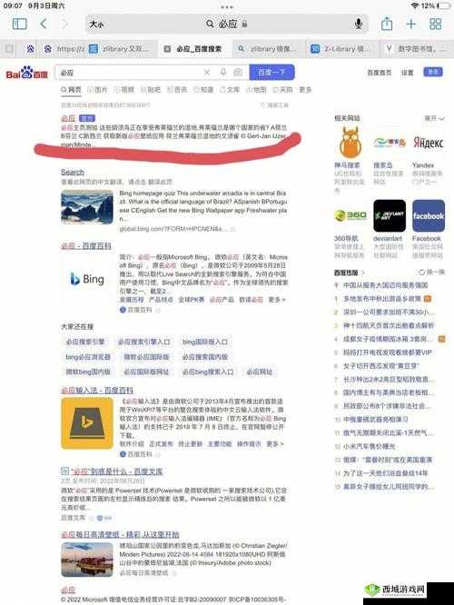 可以直接进入的网站的代码怎么获取之探秘