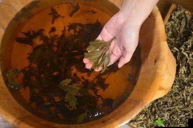 扦插 BB 好处：女主播都很好看