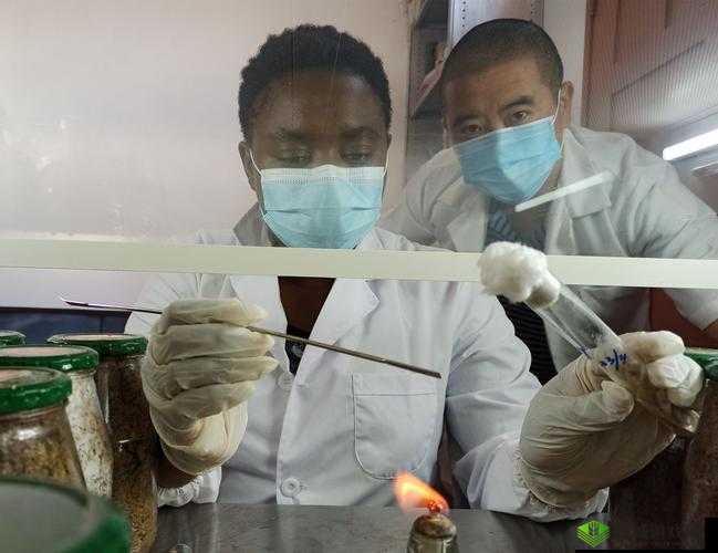 揭秘四叶草试验室 2021 规避出口详情